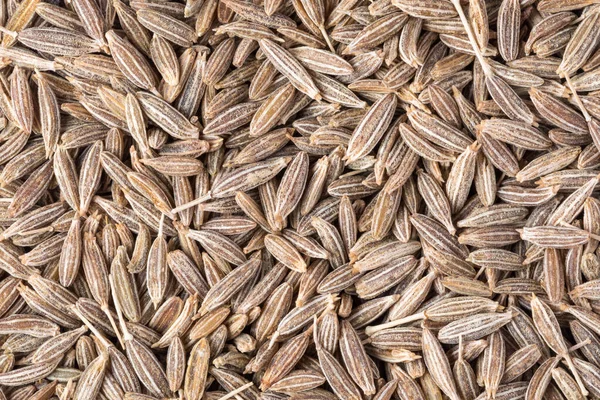 Semi di cumino essiccati da vicino, cibo biologico, fondo di semi di cumino, cibo — Foto Stock
