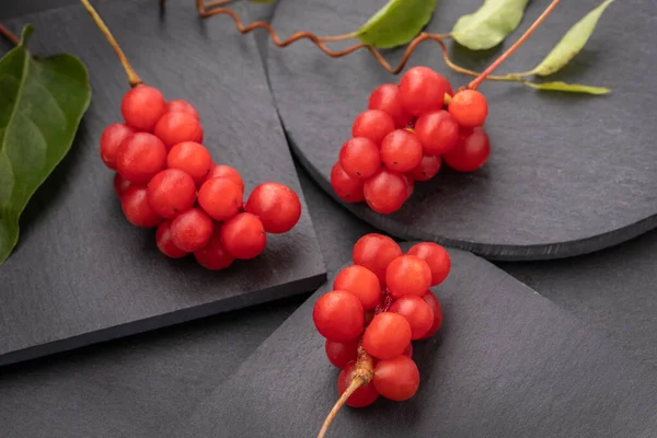 Berry of the five flavors, or Schisandra Chinesis closeup, on black background, nature, health eating. High quality photo