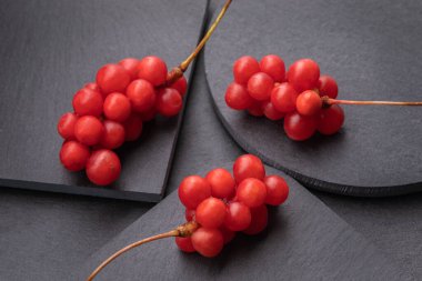 Beş çeşnili dut, ya da Schisandra Chinesis yakın plan, siyah arka plan, doğa, sağlık yeme. Yüksek kalite fotoğraf