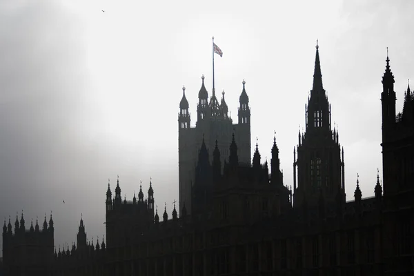 Londra, Birleşik Krallık; 15 Mart 2011: Westminster 'daki İngiliz Parlamento Evleri.