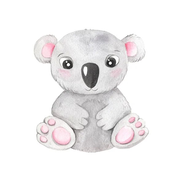Aquarela Bonito Desenho Animado Personagem Animal Koala Isolado Branco Gatinho — Fotografia de Stock