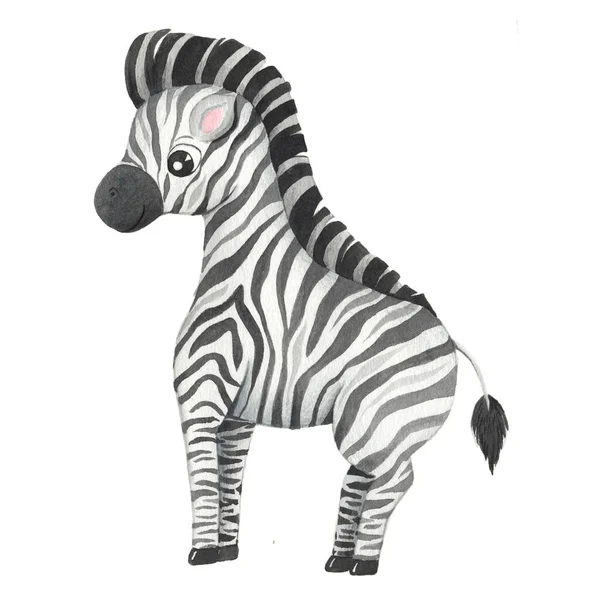 Akwarela Cute Zebra Postać Zwierzę Kreskówki Izolowane Białym Ręcznie Malowane Zdjęcie Stockowe