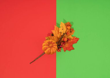 Yapay balkabağı, sonbahar yaprakları ve meyveler kırmızı ve yeşil arka planda uzanır. Minimum sonbahar kutlaması konsepti, düz konum.