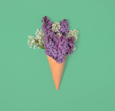 Dondurma külahında beyaz ve mor leylak. Pastel yeşil arkaplan üzerinde minimum düz kare kompozisyon, bahar dönemi dekoratif konsepti
