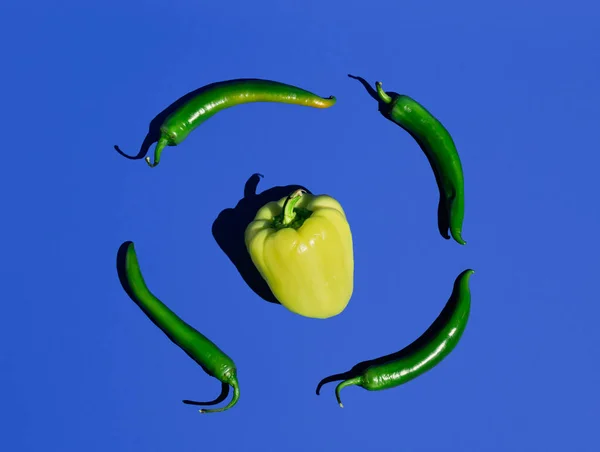 Paprika Gialla Peperoni Caienna Verdi Sfondo Blu Pastello Composizione Orizzontale — Foto Stock