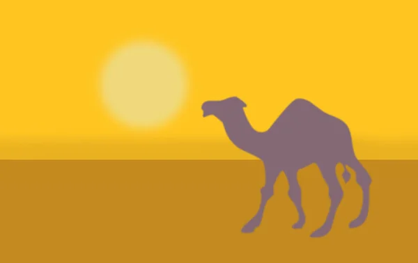 Sziluett Egy Teve Egy Sivatagi Naplemente Dűne Minimális Illusztráció — Stock Fotó
