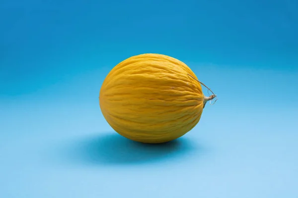 Yellow honey melon  on blue background. Minimal square composition, healthy food concept