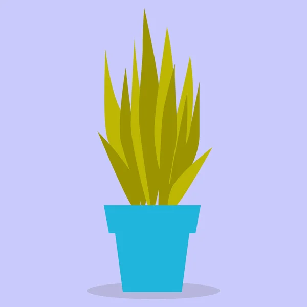蓝壶中的绿色植物 这个图像是以扁平的风格制作的 矢量图解 一系列商业图标 — 图库矢量图片