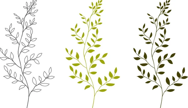 Colección Vegetación Hojas Plantas Herbáceas Siluetas Ramitas Planta Ilustración Vectorial — Vector de stock