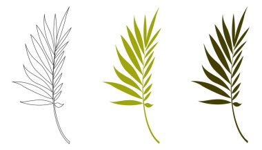 Beyaz arka planda izole edilmiş bir palmiye yaprağının el yapımı silueti. Tropik yapraklar.