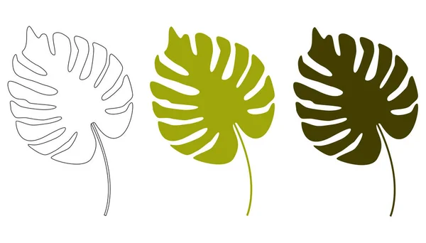 Тропические Листья Цветочный Фон Листья Monstera Выделены Белом Фоне Векторная — стоковый вектор