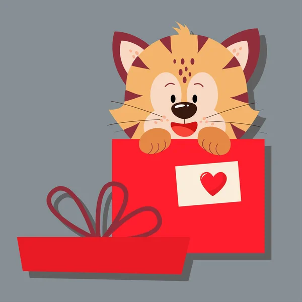 Tiger Sitting Gift Box Day Love Valentine Day Greeting Card — Stock Vector