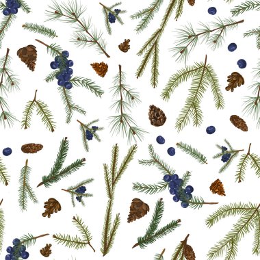 Kusursuz bir iz. Çam, Noel ağacı mavi böğürtlen ve koni dallarını dallandırır. Kış babası.