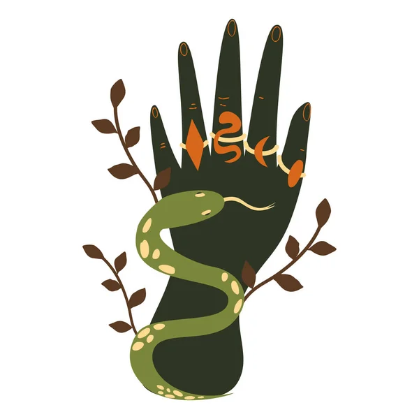 Mística Mão Cobra Mão Humana Com Anéis Ilustração Vetor Moda — Vetor de Stock