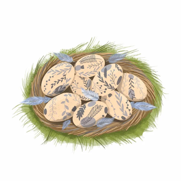 Пташине Гніздо Намальованими Яйцями Пасхальна Ілюстрація Гнізда Гілочок Розфарбованих Яйцями — стокове фото