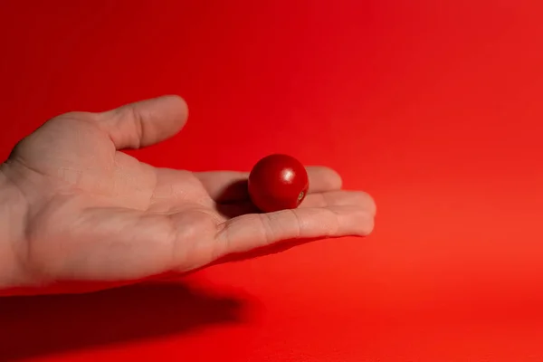 Kırmızı arkaplanda domates