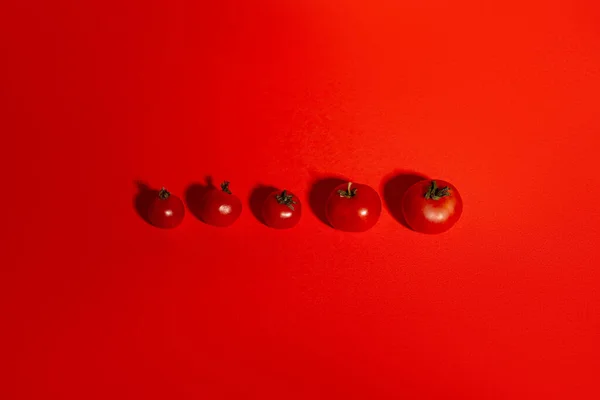 Kırmızı domatesler. Kızıl Arkaplanda Taze Organik Domatesler. Nesneler Grubu, Sağlıklı Yeme, Sağlıklı Yaşam Tarzı, Ürün