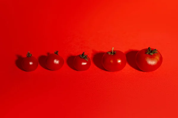 Sağlıklı beslenme, sağlıklı yaşam tarzı, ürün. Kırmızı Domatesler, yaklaşın. Kırmızı Arkaplanda Taze Organik Domatesler, Yukarıdan Kopya Boşluğu ile Doğrudan.