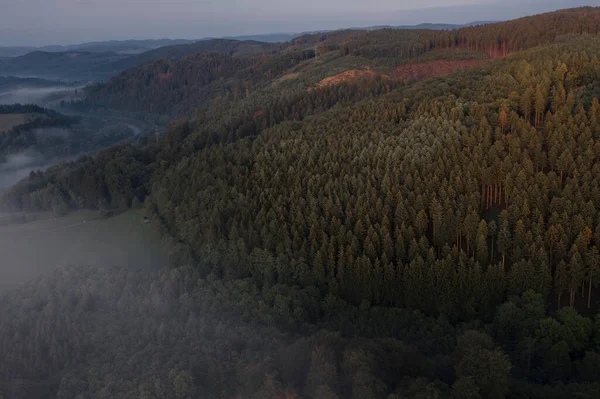 Atemberaubender Blick Von Oben Auf Kiefernwald Und Nebelverhangene Hügel — Stockfoto