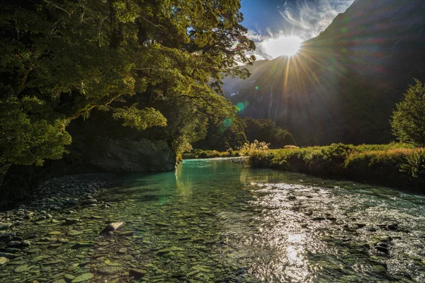 Färskvatten River Stream Genom Skogen Med Ljusa Glödande Sol Bakgrund — Stockfoto