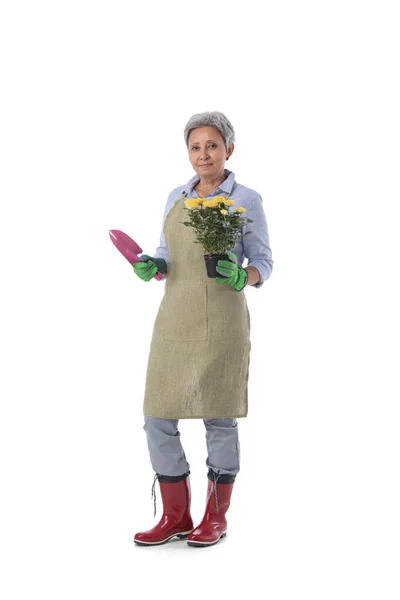 Comprimento Total Retrato Sorrindo Asiático Mulher Profissional Jardineiro Florista Avental — Fotografia de Stock