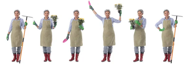 Tuinieren Volwassen Vrouw Tuinman Werknemer Met Bloemen Hark Primeur Set — Stockfoto