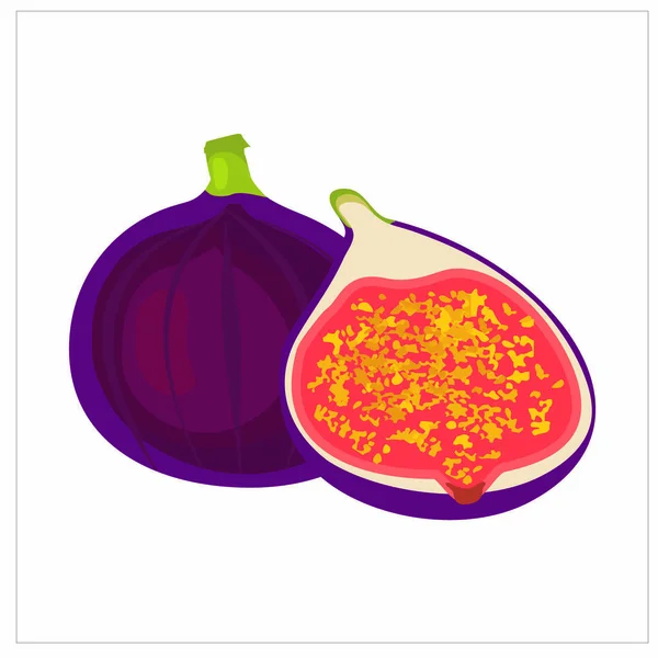 Figs Tropical Fruits Vector Illustration Isolated White Background Isolate White — Stok Vektör