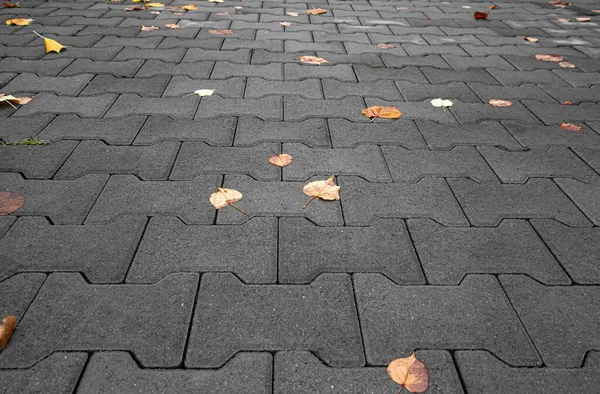 Wet autumn cobblestone with fallen leaves. — Stock Photo, Image