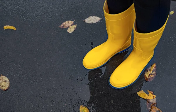 Pés em botas de borracha no asfalto molhado. — Fotografia de Stock