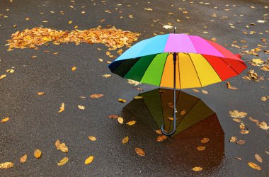 Islak asfaltta parlak bir şemsiye.