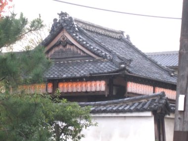 Japonya, Nara 'daki tapınakları keşfediyor.