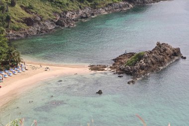 Tropik bitki örtüsü güneşte gelişiyor.