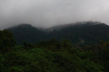 Tayland 'daki Koh Lanta tepelerinden aşağı süzülen sis.