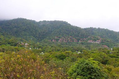 Tayland 'daki Koh Lanta tepelerinden aşağı süzülen sis.