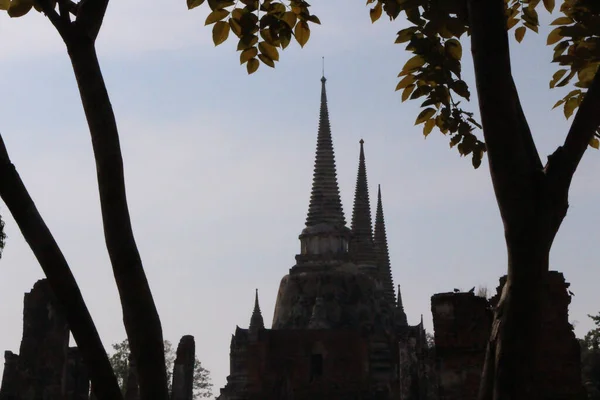 Relaks Pod Słońcem Iglicami Świątyni Ayutthaya Tajlandii — Zdjęcie stockowe