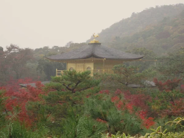Spacerując Przez Deszcz Jazdy Złotej Świątyni Kioto — Zdjęcie stockowe
