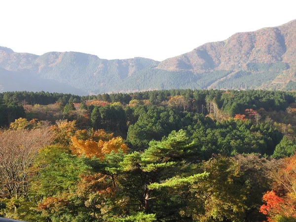日本西南部美丽的秋天色彩 — 图库照片