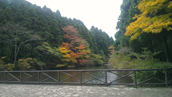 Odpoczynek Relaks Parku Narodowym Hakone Japonia — Zdjęcie stockowe