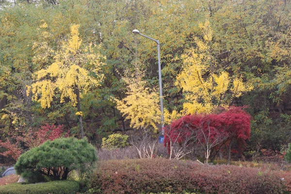 Vue Séoul Depuis Namsan Park Corée Sud — Photo