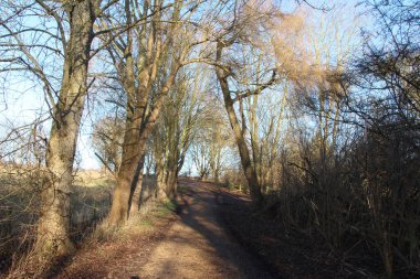 Hertford 'daki Lea nehri boyunca geziniyorum.