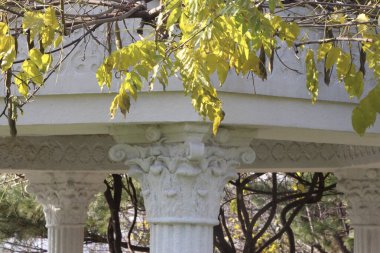 Sonbaharda Seul 'un ortasında Namsan Parkı' nı keşfetmek.