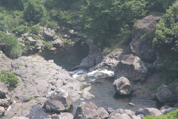 韩国济州岛天眼瀑布周围的森林 — 图库照片