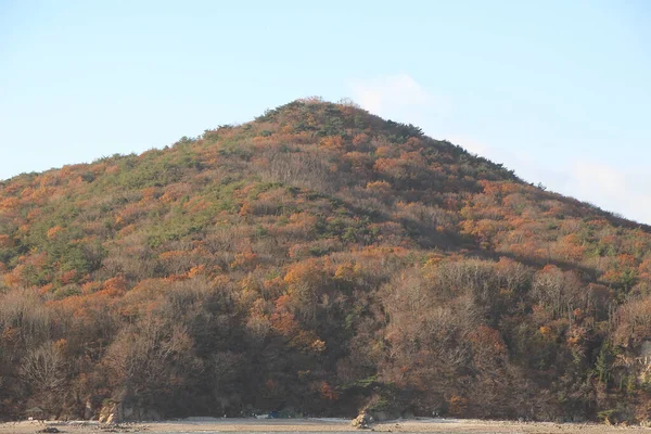 仁川在韩国首尔郊外占领了和平岛木井的宁静 — 图库照片