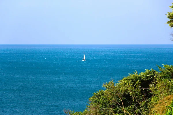 Flotando Alrededor Los Mares Asia — Foto de Stock