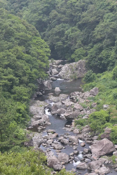Florestas Torno Cheonjeyeon Falls Ilha Jeju Coreia Sul — Fotografia de Stock