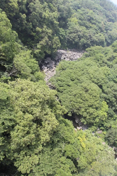 Ліси Навколо Водоспаду Чеонджей Острові Чеджу Південна Корея — стокове фото