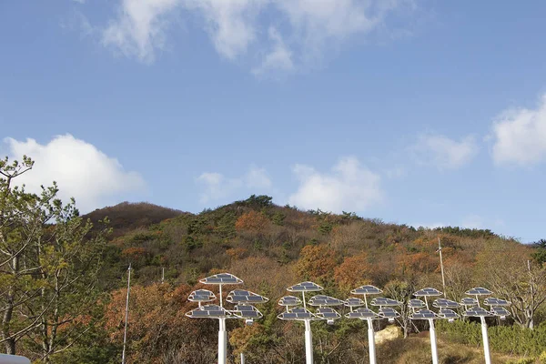 仁川在韩国首尔郊外占领了和平岛木井的宁静 — 图库照片