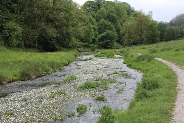 Erkunden Sie Die Landschaft Des Peak District Großbritannien — Stockfoto