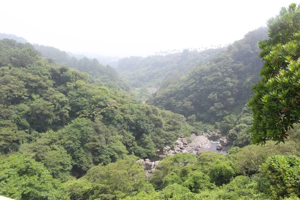 Forests Cheonjeyeon Falls Jeju Island South Korea — Stockfoto