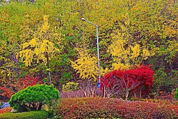 Widok Seul Namsan Park Korei Południowej — Zdjęcie stockowe